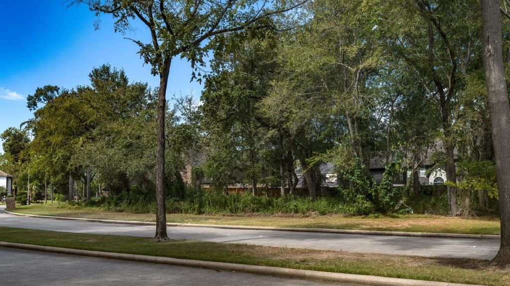 Mature trees along the street in front of the lot