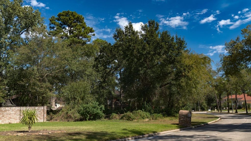 Neighborhood street view near the lot