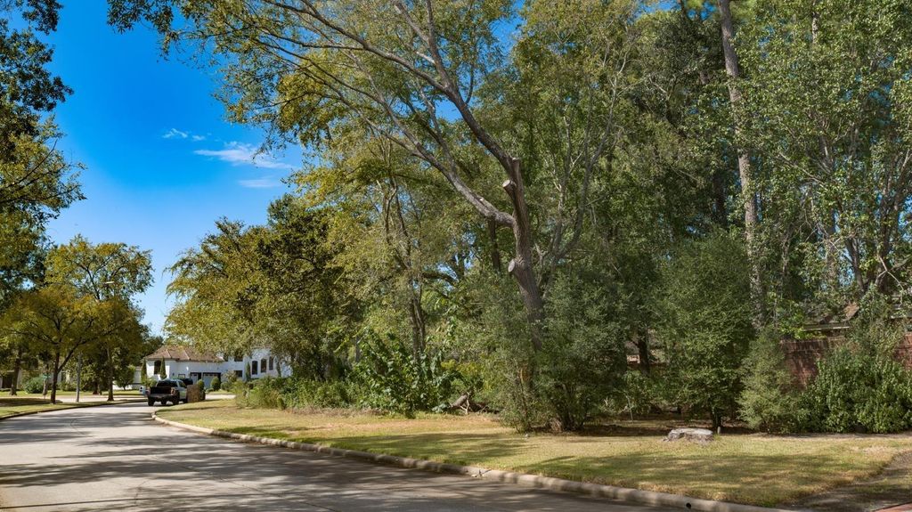Tree-lined street near the lot